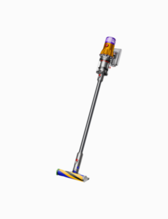 Support | Dyson V12 Detect Slim™ vacuum (SV20, SV30)